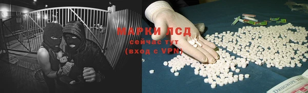 гашик Няндома