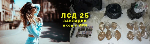 молекула духа Осташков