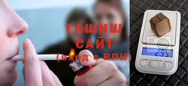 гашик Няндома