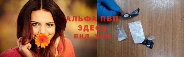гашик Няндома