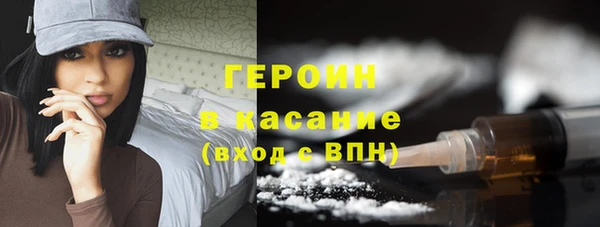 гашик Няндома