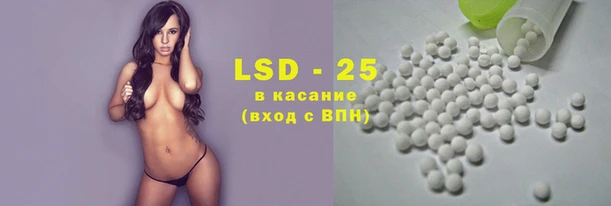 стафф Новозыбков