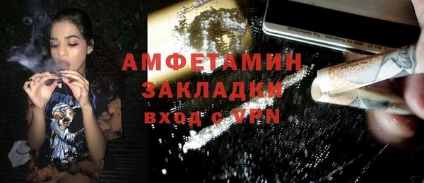 гашик Няндома