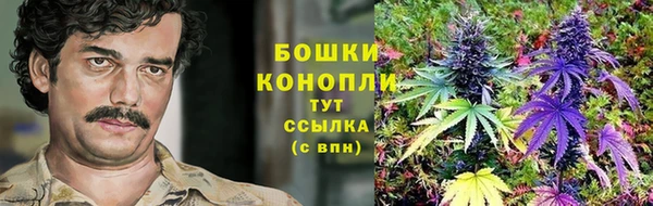 молекула духа Осташков