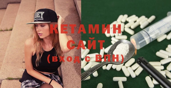 гашик Няндома
