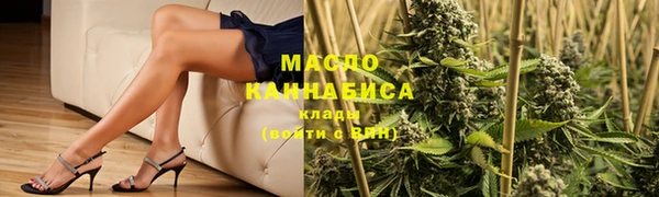 гашик Няндома