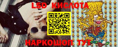 дживик Кингисепп
