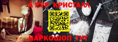 дживик Кингисепп
