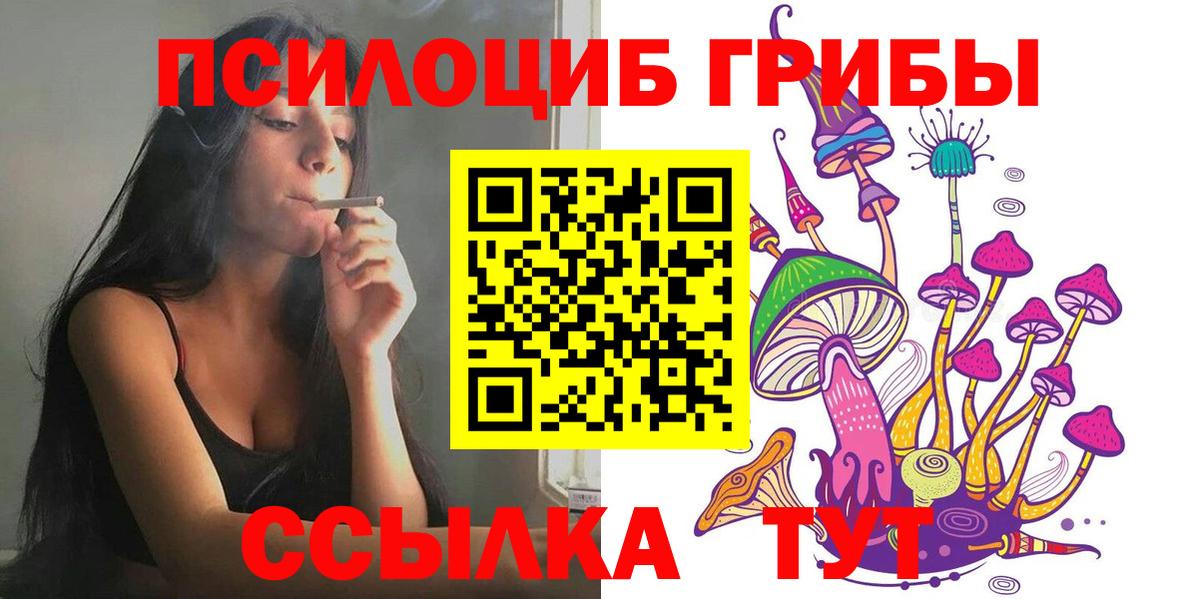 купить наркотик  Курганинск  Галлюциногенные грибы Magic Shrooms 