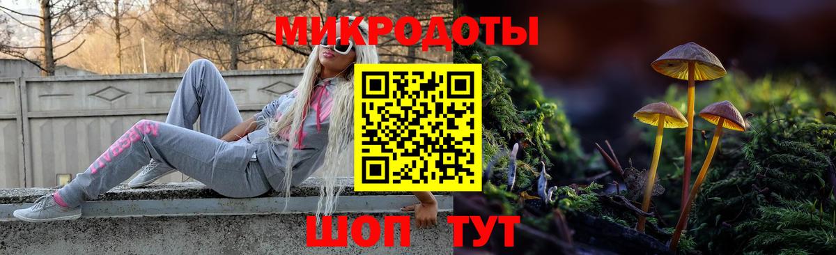 Галлюциногенные грибы Magic Shrooms Курганинск